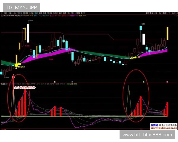 三公的玩法技巧大全:提升胜率的实用策略与实战经验总结 三公的玩法技巧大全:提升胜率的实用策略与实战经验总结