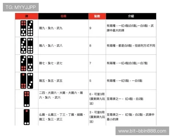 打牌九的最佳策略详解帮助玩家提升胜率的实用技巧指南